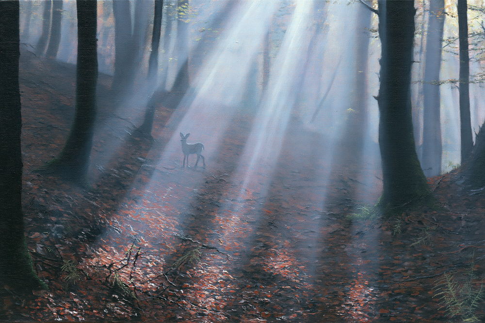 Shafts of sunlight falling through trees onto a leafy forest floor